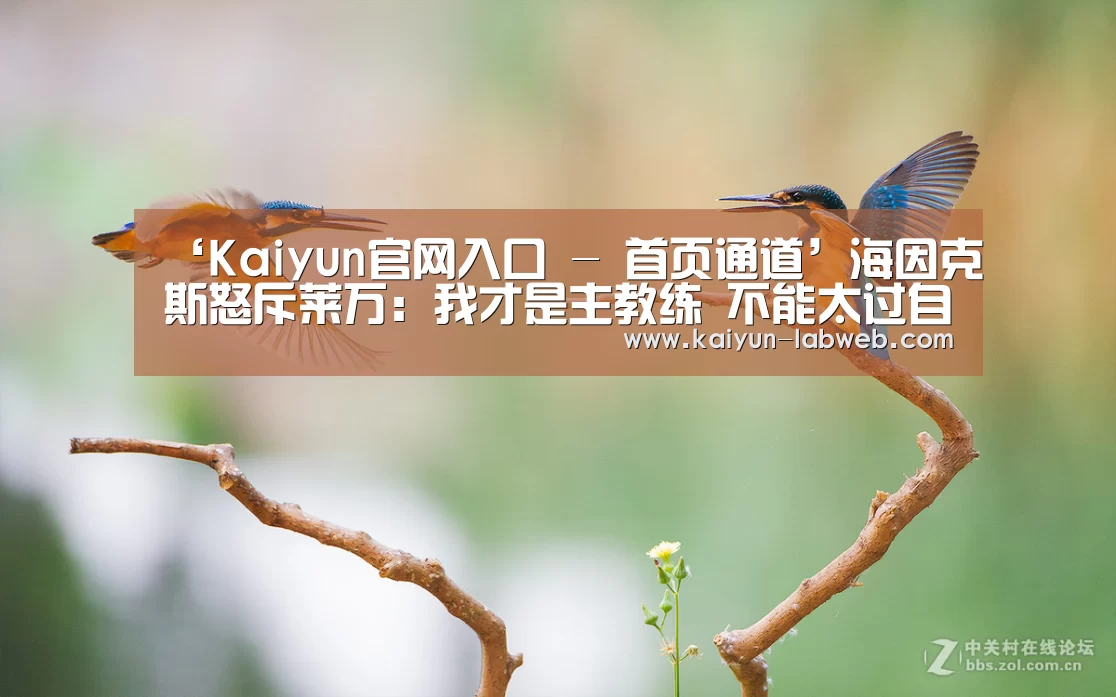 ‘Kaiyun官网入口 - 首页通道’海因克斯怒斥莱万:我才是主教练 不能太过自私(图1) 开云